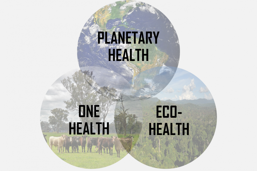 Planetary Health